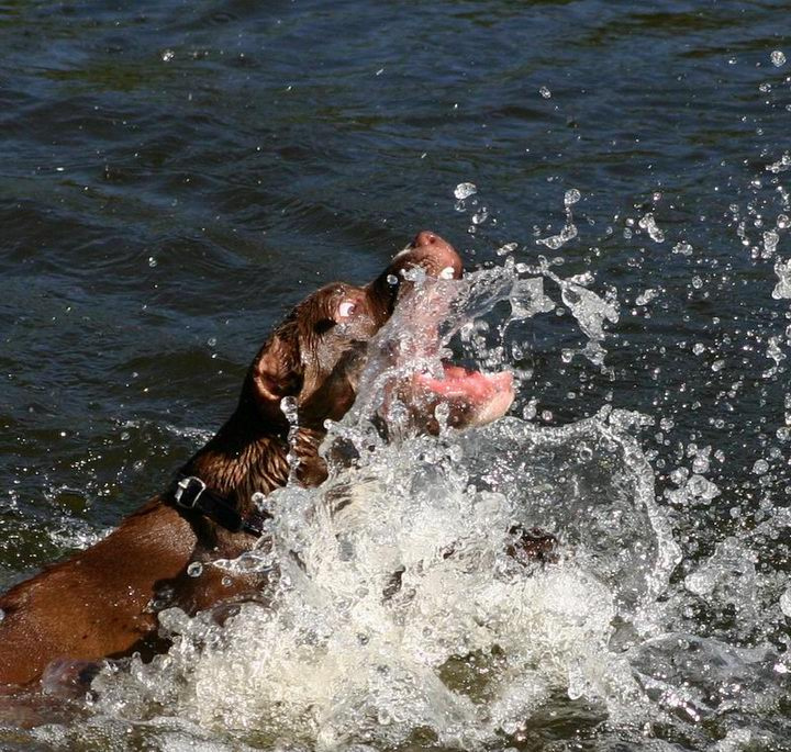 Водыыыы!!!! 