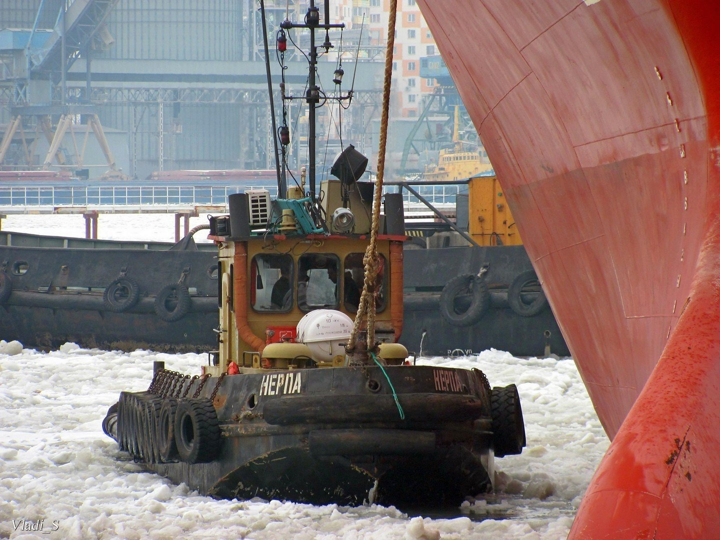 Трудяга. 