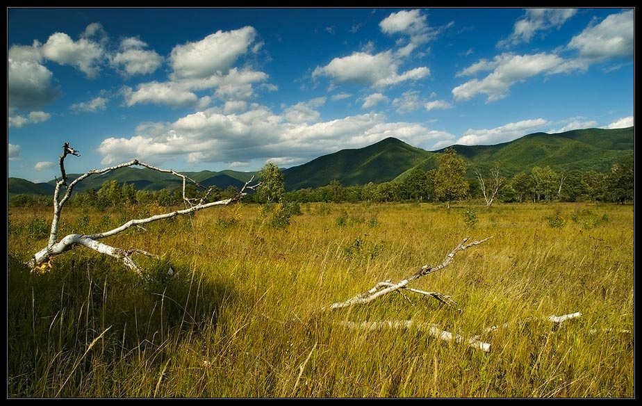Приморье/Сентябрь 2007/#1 фото Приморье пейзаж природа