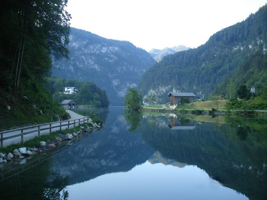 озеро озеро лето лес вода