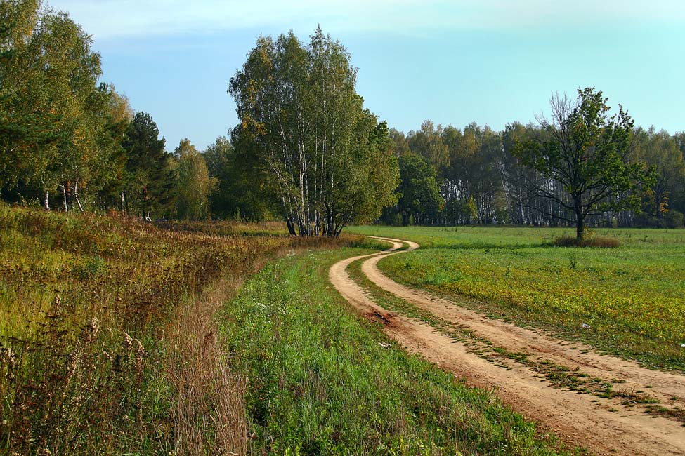*** Лес дорога сентябрь