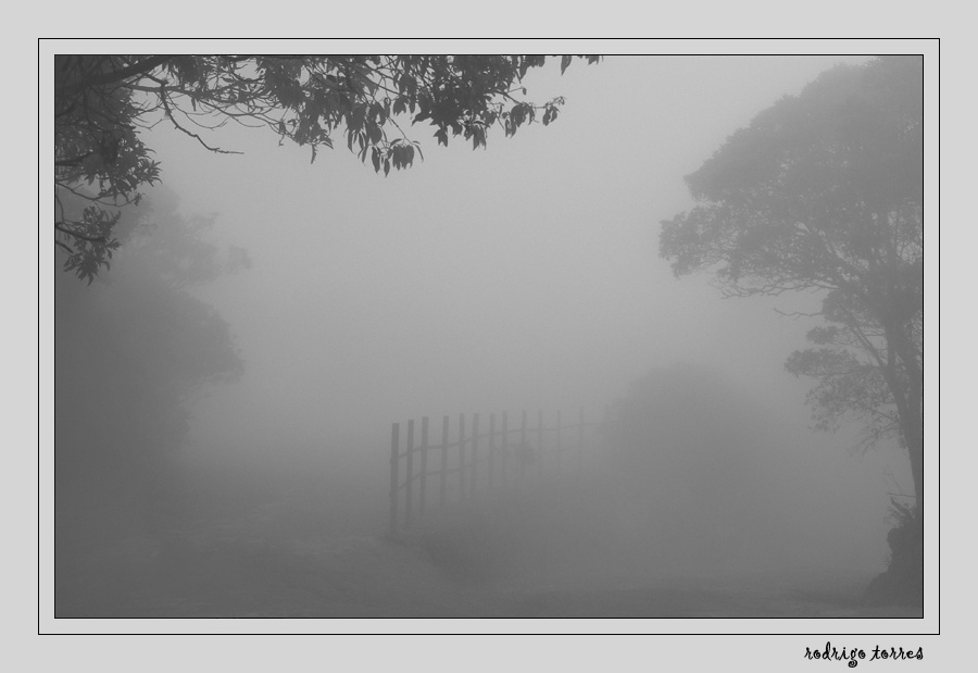 end of story (Brazil) - [reloaded] Brazil Бразилия fog туман river река