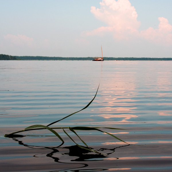 Мечты о море 