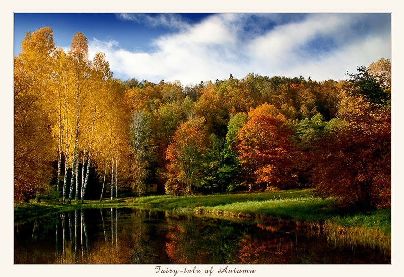 ~ Fairy tale of Autumn ~ 
