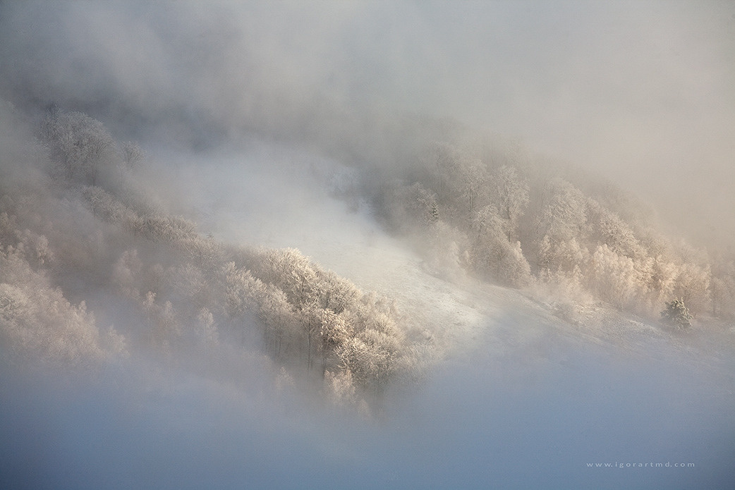 fog mistery 