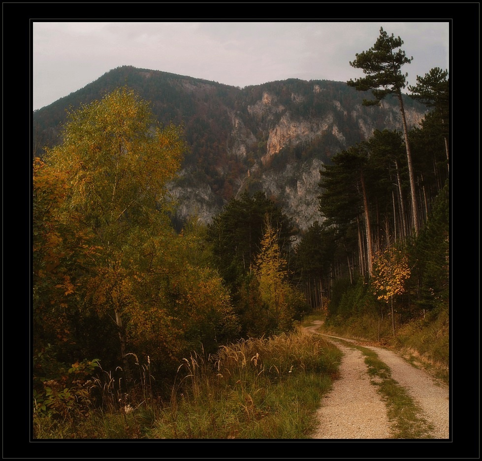 Через глушь осенняя дорога лес Payerbach
