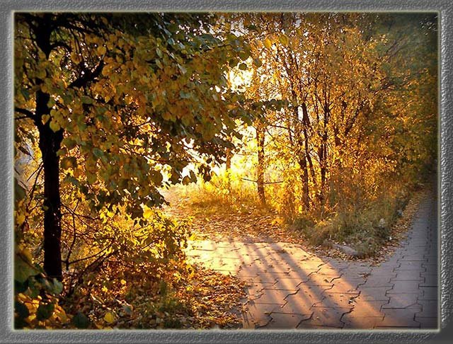 Утро пейзаж, осень, утро