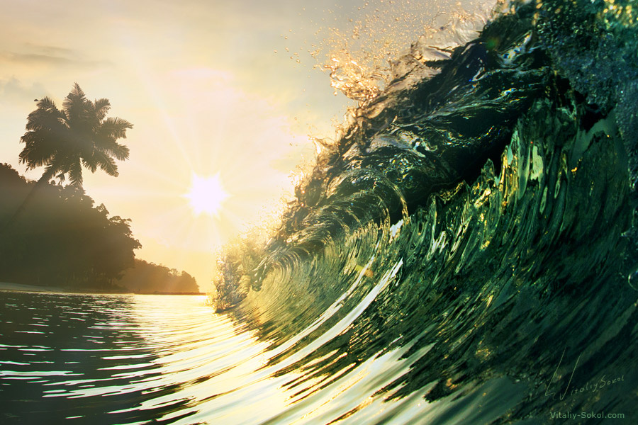 Wave tropical, ocean, wave
