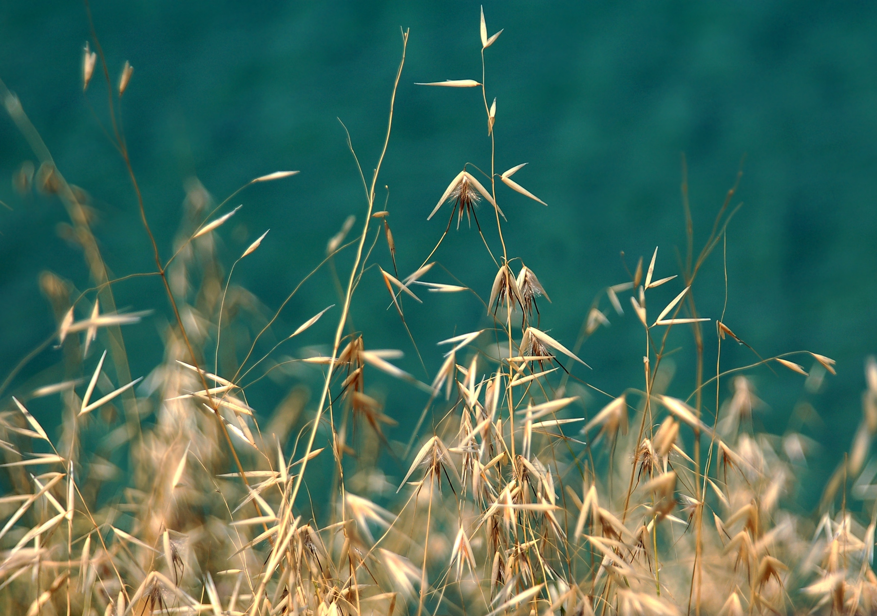 - Тонкие нити #3 - 