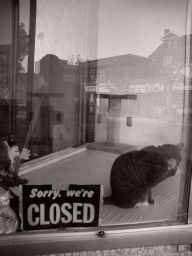 Sorry, we\'re closed котофото