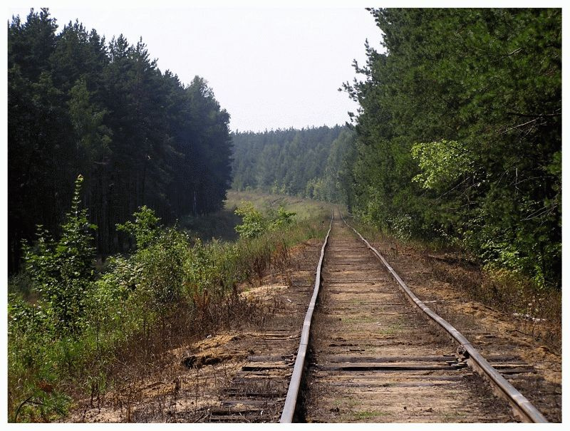 The Long and Winding Road жд, дорога, поворот