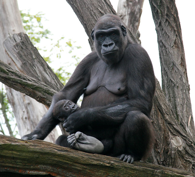 30609 Mother with child 