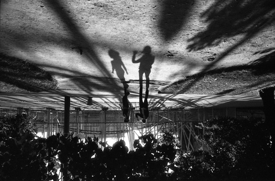 Shadows. Gorky park. Тени. ЦКПиО. Shadows. Gorky park. Тени. ЦКПиО.