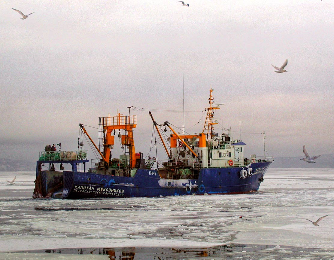 На промысел Море рыбаки камчатка