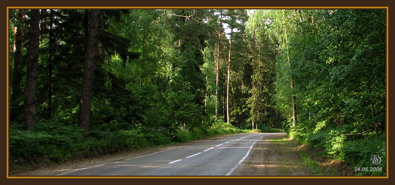 Дорога в лесу дорога лес