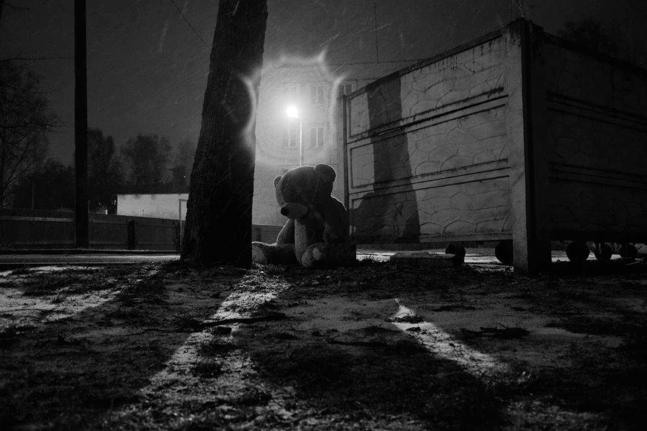ч/б вечер 19 вечер мусорка плюшевый мишка снег фонарь деревья