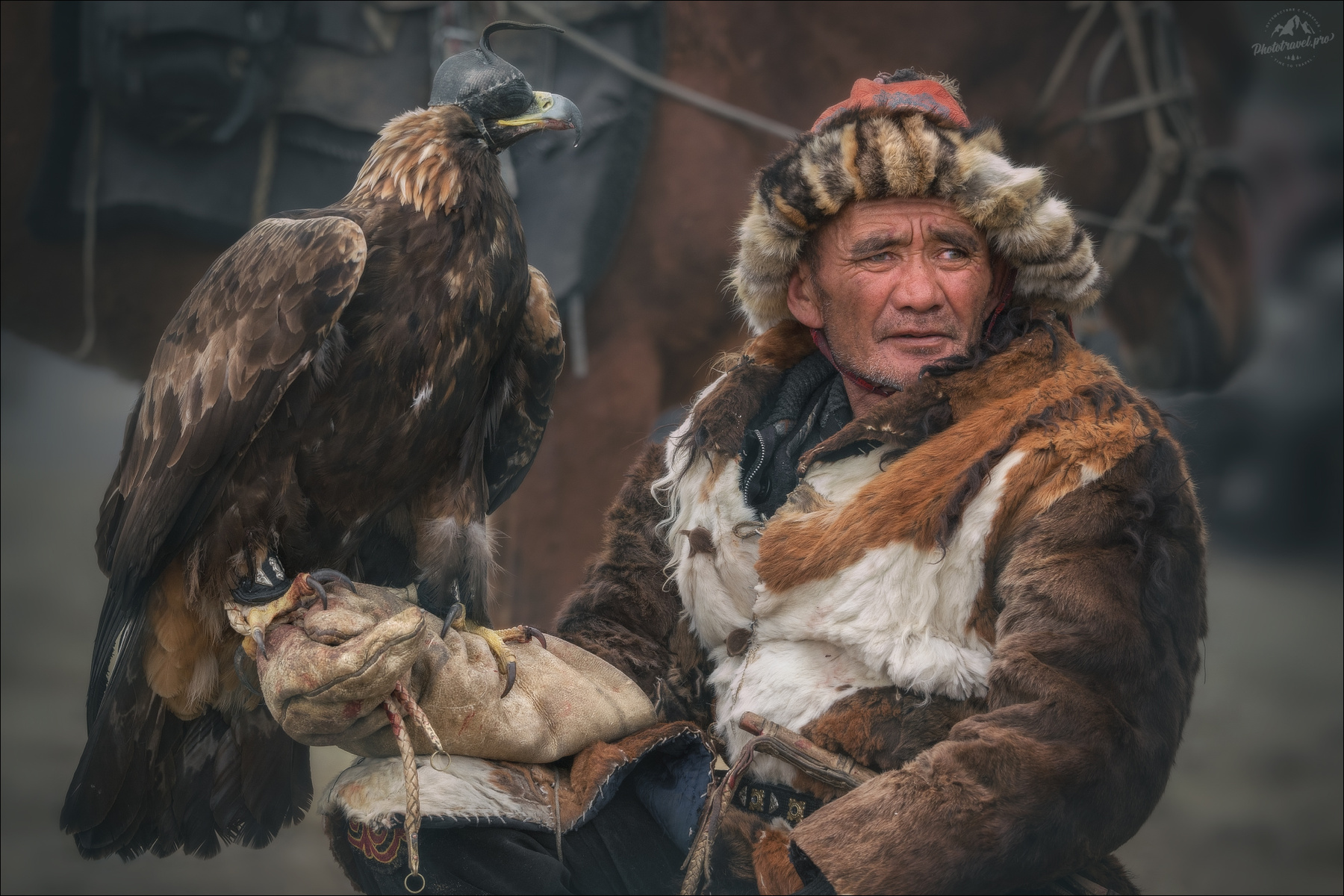 БЕРКУТЧИ беркут беркутчи монголия mongolia алтай фототур на и в монголию фототуры 2026 phototravel.pro осенью golden eagle festival sagsay фестиваль охотников с беркутами