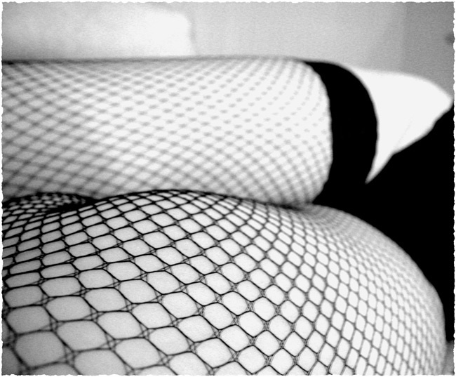 The fishnet2 