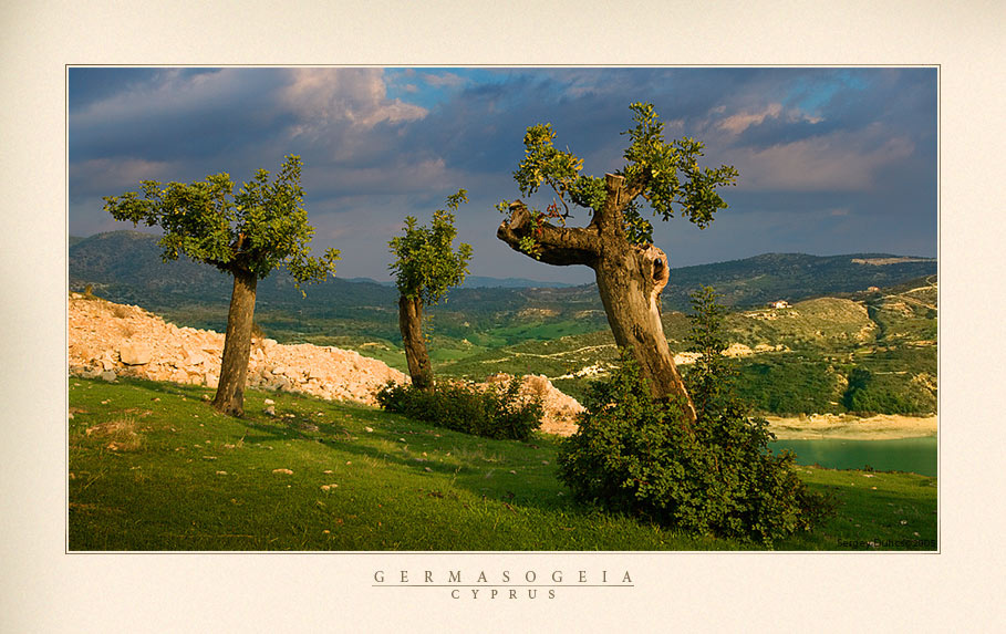 Germasogeia I Кипр в январе рай для фотографов