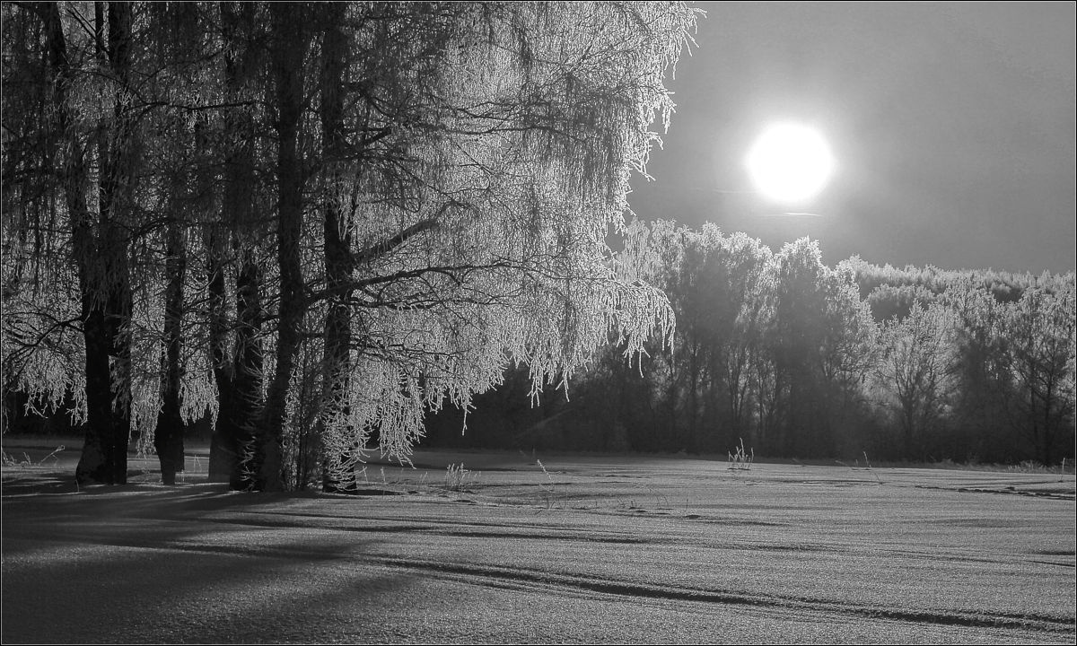Злато и СЕРЕБРО серебро, иней