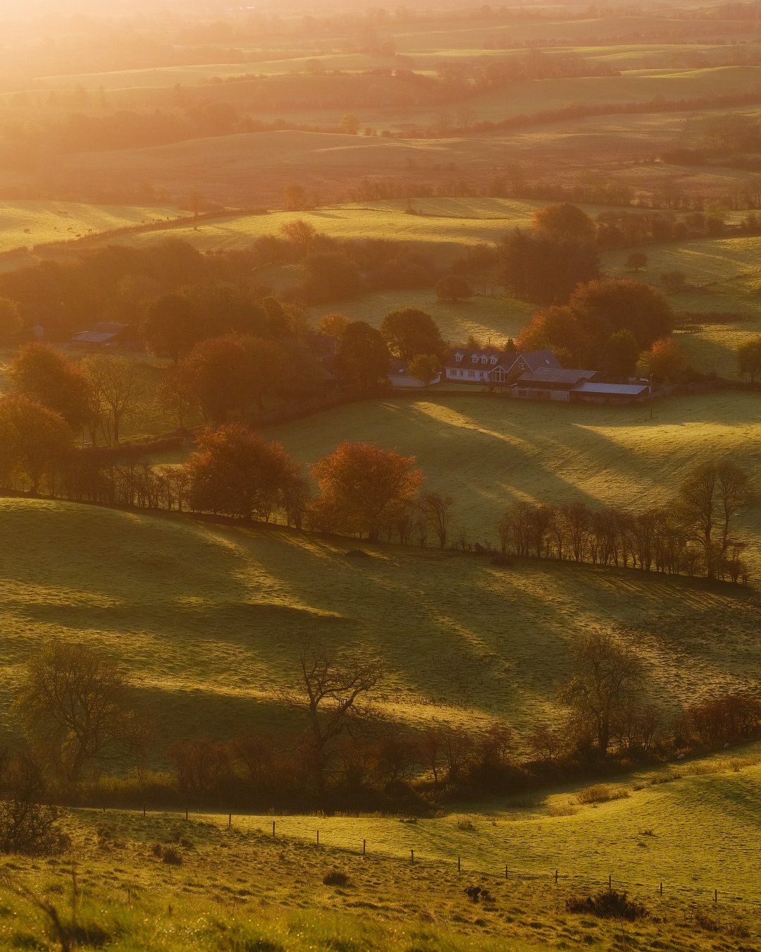 ...golden hour... ireland nature outdoors scenic season autumn dawn sunrise rural countryside from above aerial fields meadows loughcrew boundaries golden hour destination europe picturesque spectacular