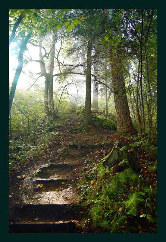 *** Sigulda