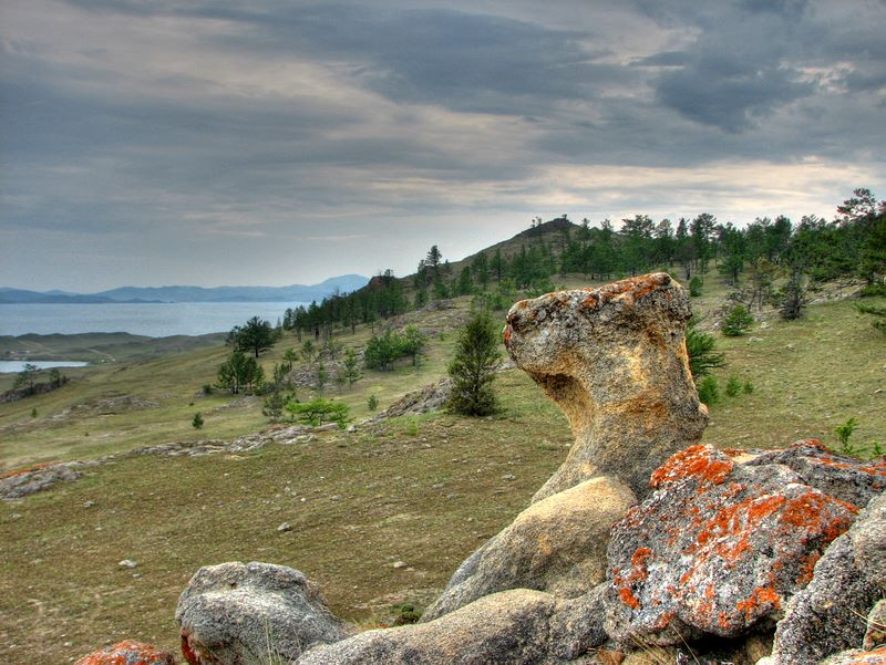 Лев на Байкале лев скалы лишайник байкал