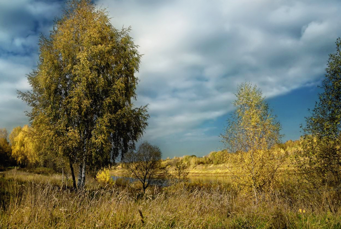 ***Вот и осень пришла. 