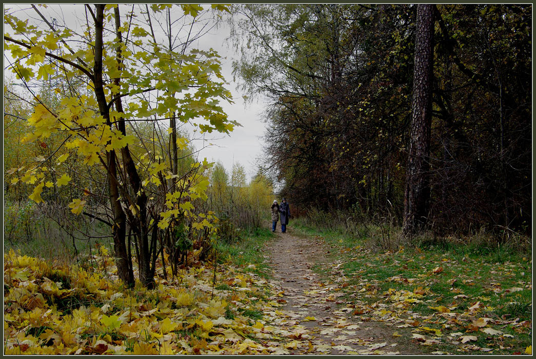 в парке осень 