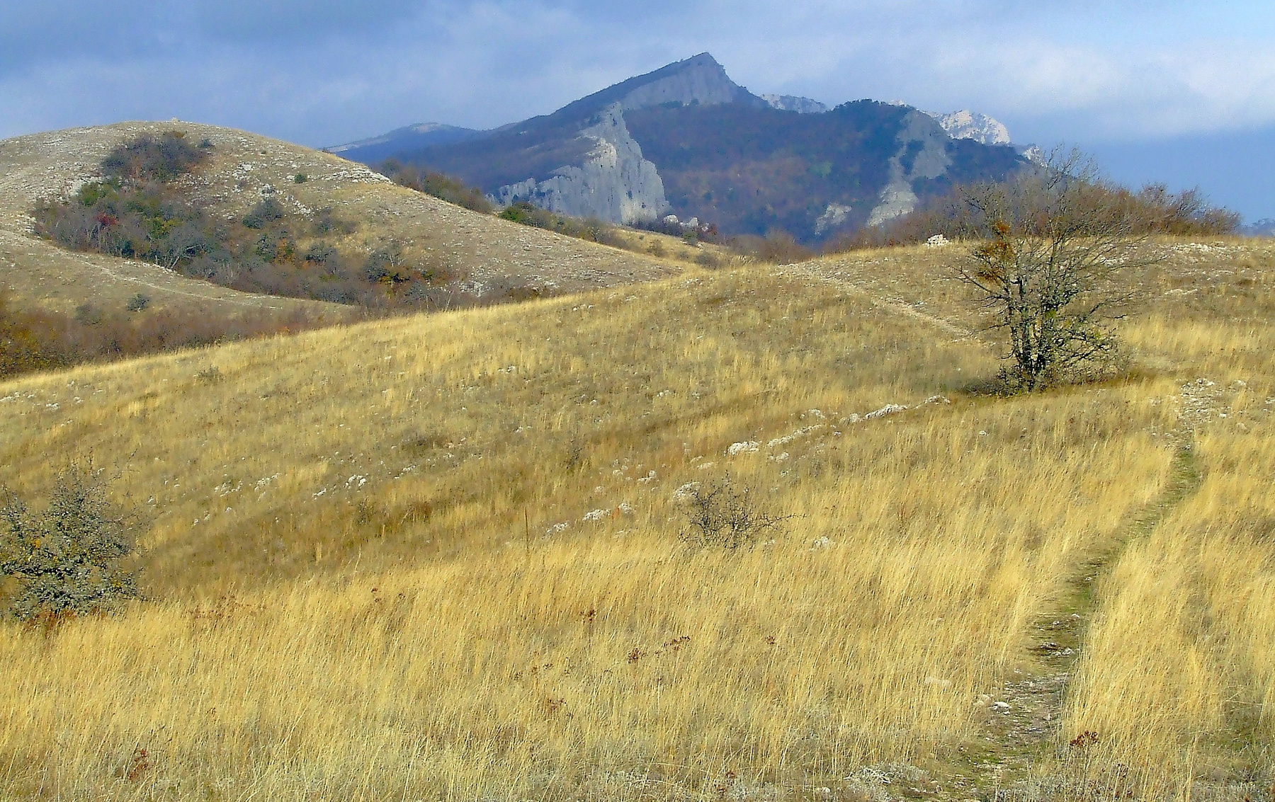 Путешествия по Крыму. Ай-Петринская яйла Крым, Ай-Петри, осень