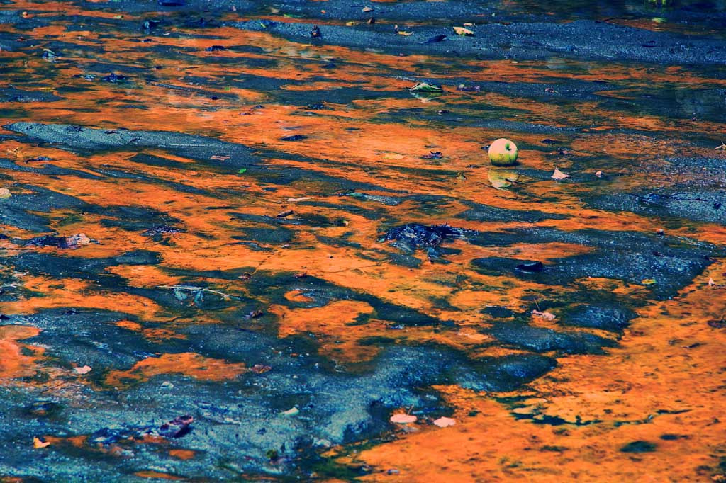 Apple in the mud яблоко грязь ручей Коломенское