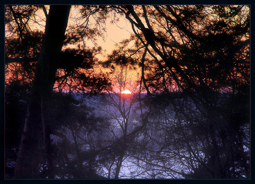 winter sundown зима мороз закат солнце холод
