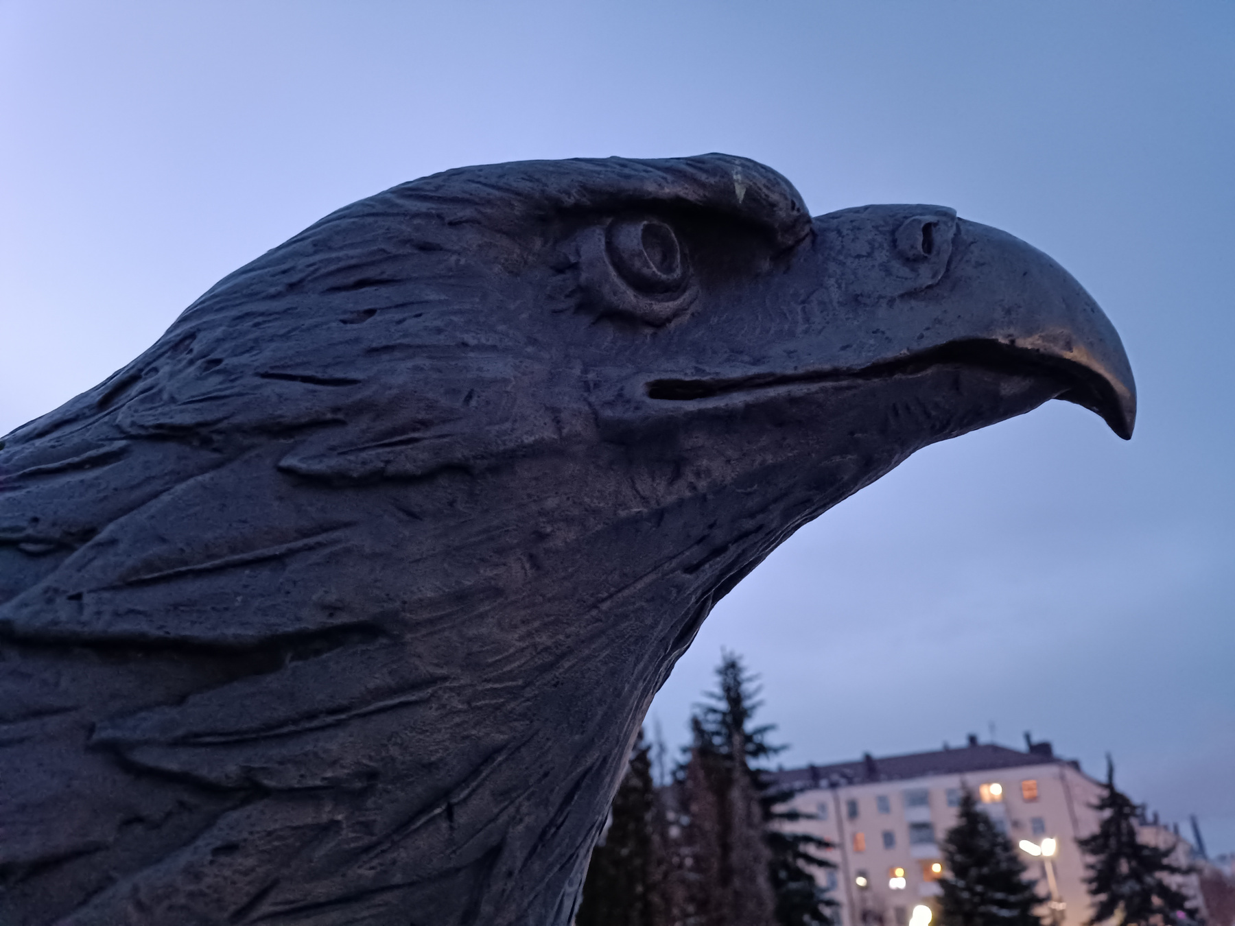 Орлиный взгляд Орёл