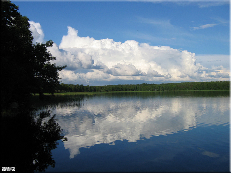 в зеркале воды 
