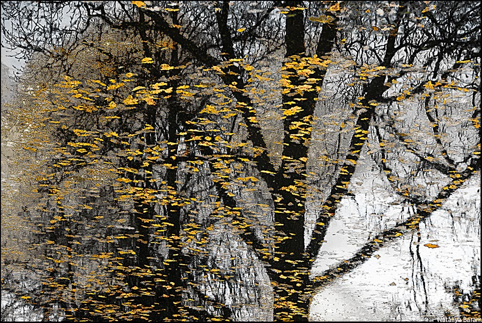 Осенение осенью. (3) Осень, октябрь, отражение.