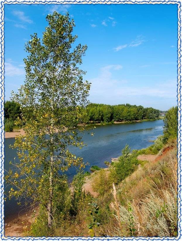 Конец лета река дерево