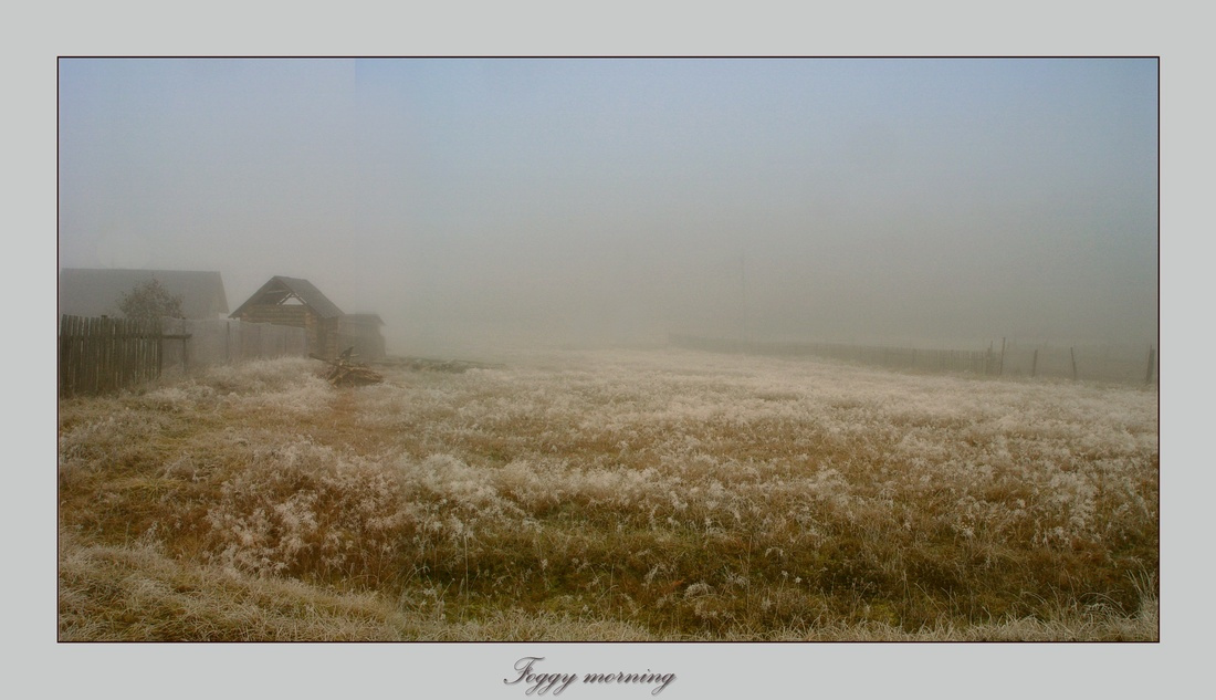 Foggy morning 