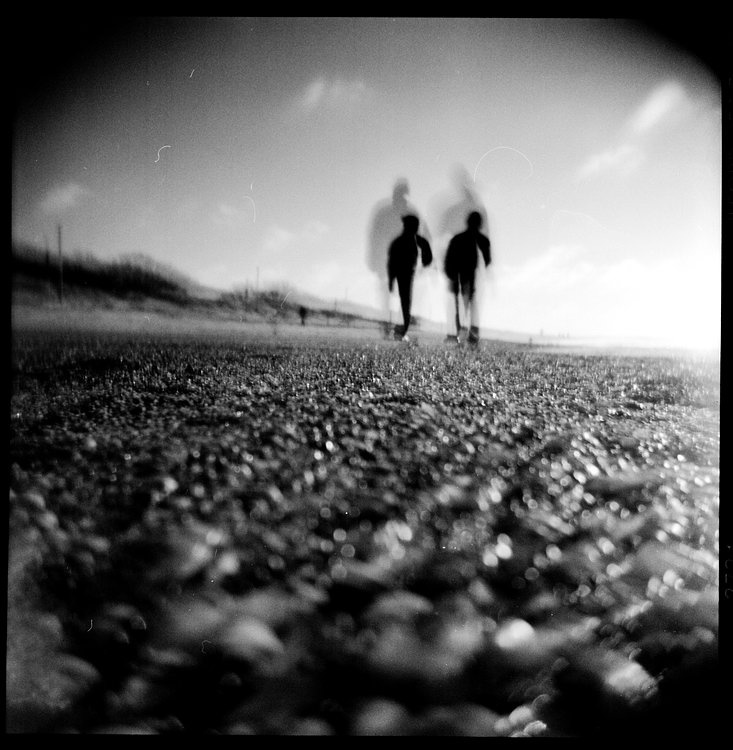 dva medvedia u moria holga