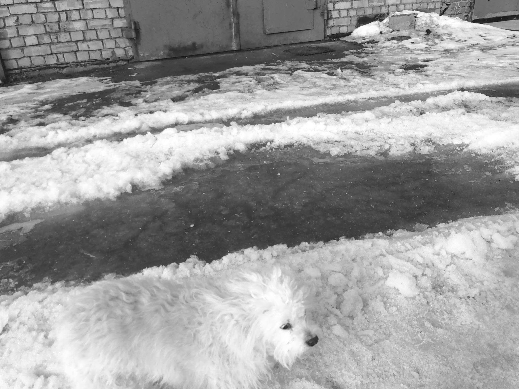 Название отсутствует 
