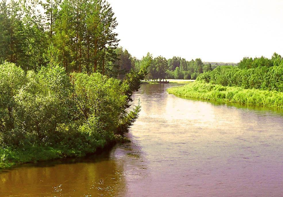 *** Река, лес.