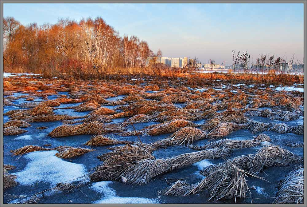 Рассвет на весеннем болоте 