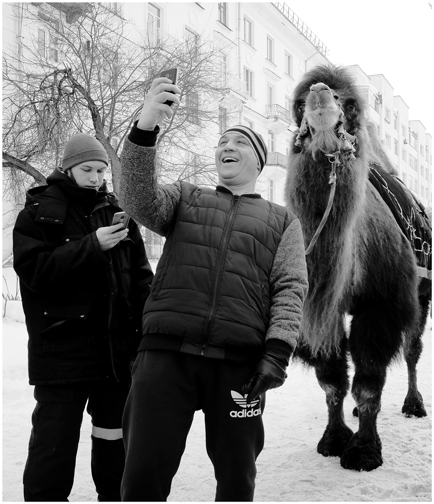 Красавчики! 