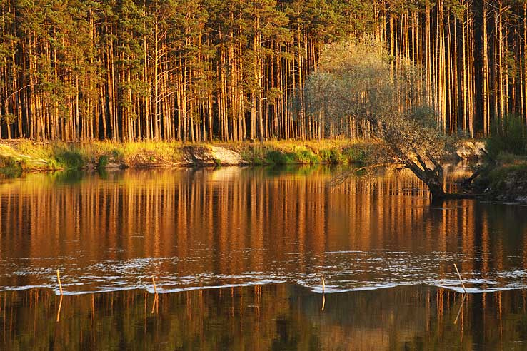 Мещерский край 2 