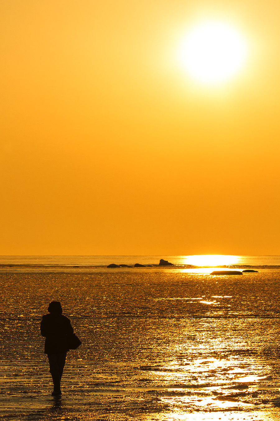 meet the sun 