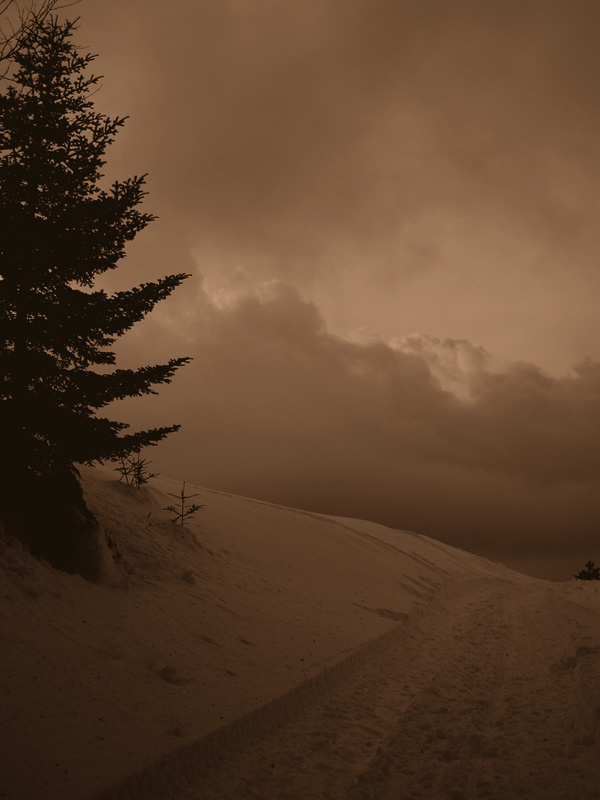 . France Turini