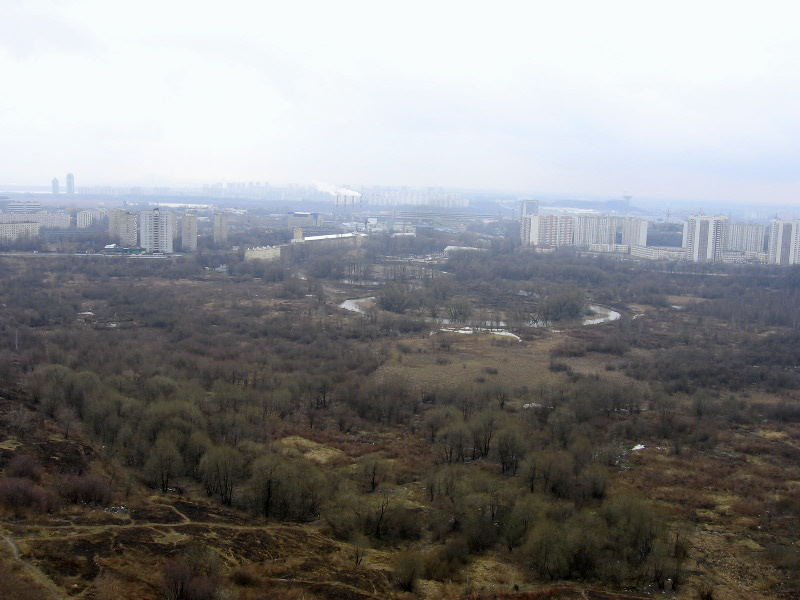 Неужели это - Москва? Деревья солярис зона котлован тушино