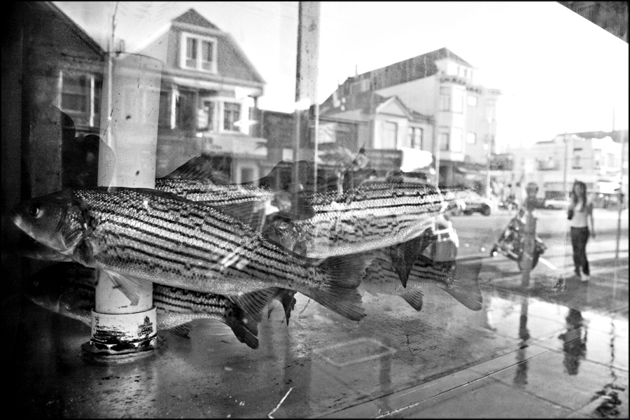 home San Francisco
