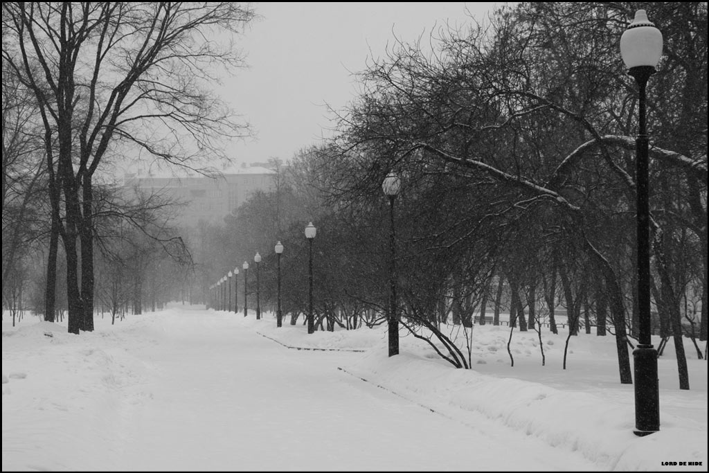 Снегопад в парке снегопад,парк