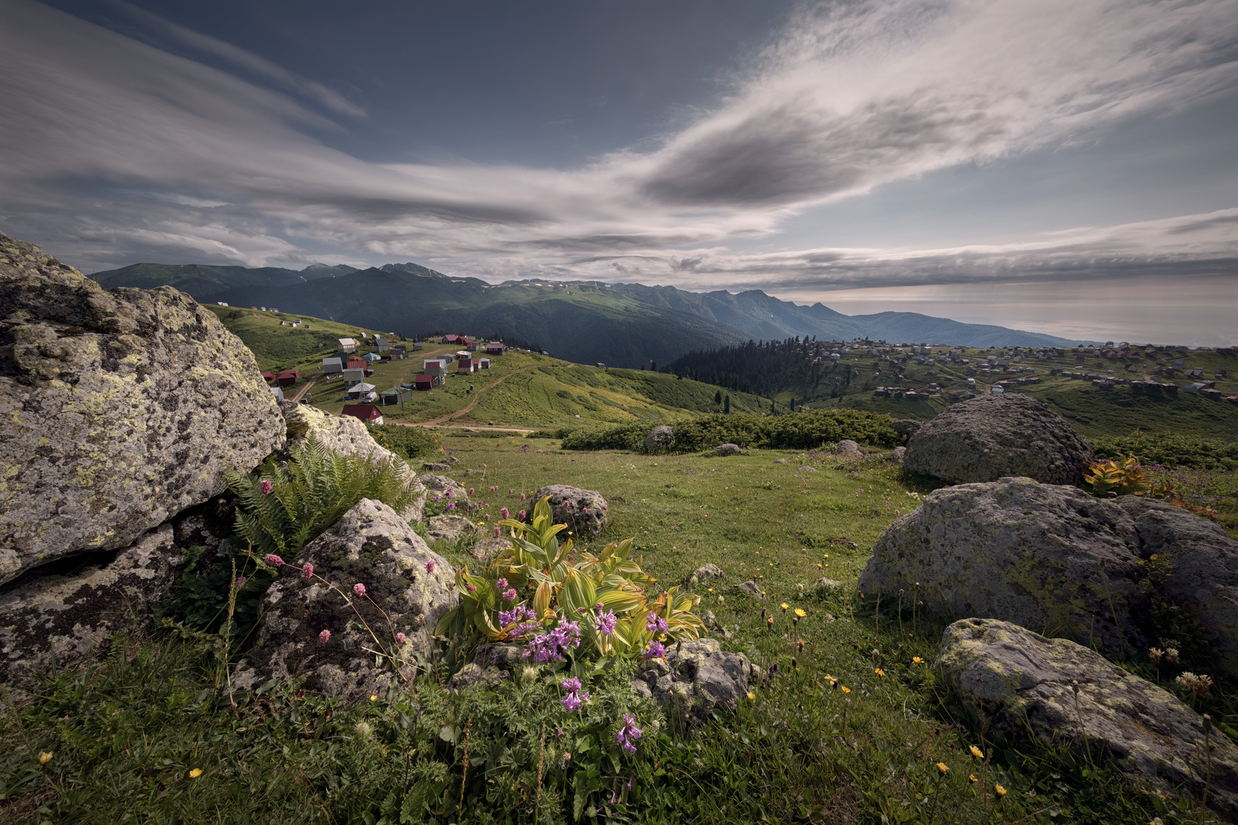 Alpine Meadows of Guria gomismta mountain meadow clouds sky grass rocks flowers light high nature landscape scenery travel outdoors georgia guria sakartvelo chizh