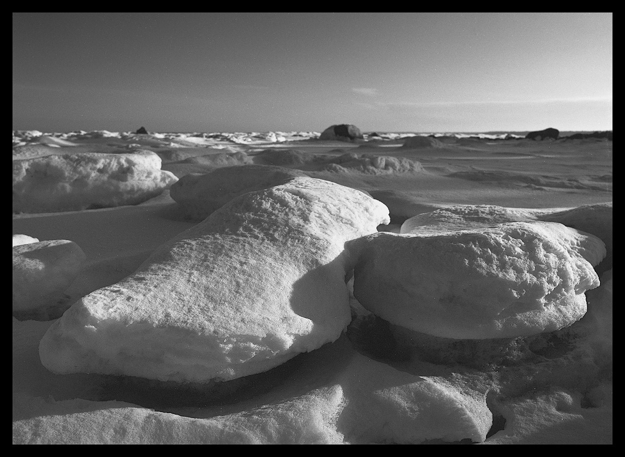 *** Mamiya-645, Rollei infrared-400.